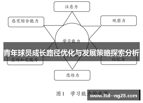 青年球员成长路径优化与发展策略探索分析