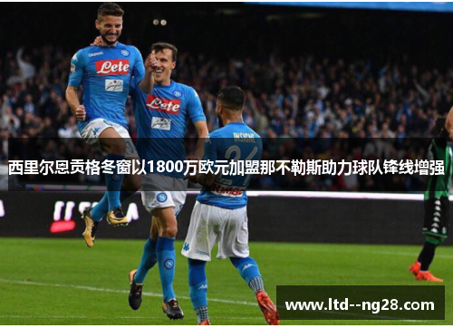 西里尔恩贡格冬窗以1800万欧元加盟那不勒斯助力球队锋线增强