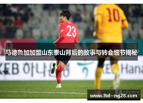 马德鲁加加盟山东泰山背后的故事与转会细节揭秘