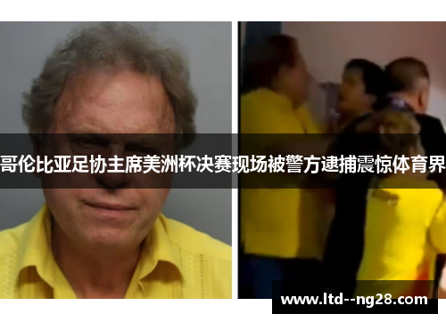 哥伦比亚足协主席美洲杯决赛现场被警方逮捕震惊体育界