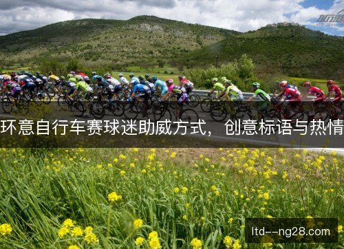 环意自行车赛球迷助威方式，创意标语与热情